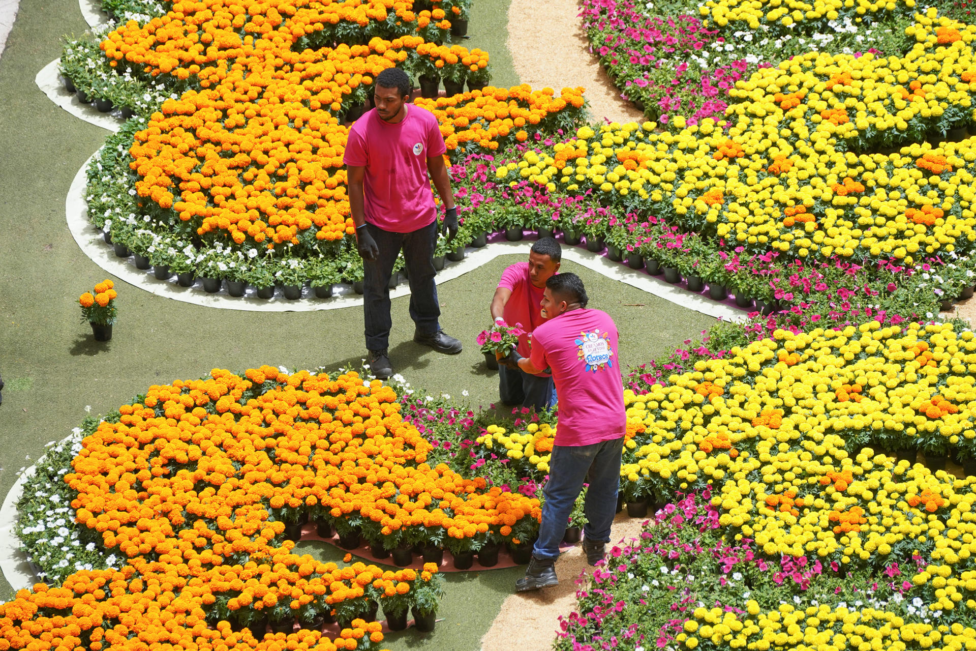 Jardineros del Centro Comercial Santafé preparan un tapete elaborado con flores este jueves, en Medellín (Colombia). EFE/Pablo R. Seco