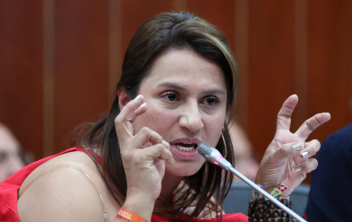 Fotografía de archivo del 24 de abril de 2026 que muestra a la exsenadora del Centro Democrático Paola Holguín durante un debate de control político en la Comisión II del Senado en Bogotá (Colombia). EFE/ Mauricio Dueñas Castañeda

