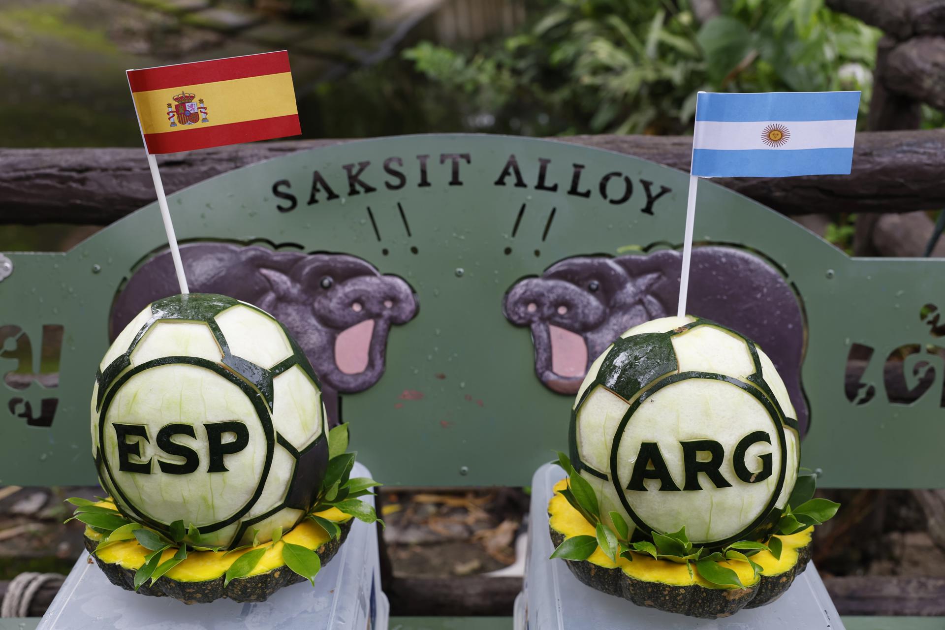 El hipopótamo pigmeo tailandés Moo Deng, que en 2024 conquistó las redes sociales, predijo este sábado que la selección argentina se impondrá a la española en la final del Mundial. El animal eligió una sandía preparada por sus cuidadores en la que aparecían las letras ARG y coronada con una bandera de ese país. EFE/ RUNGROJ YONGRIT