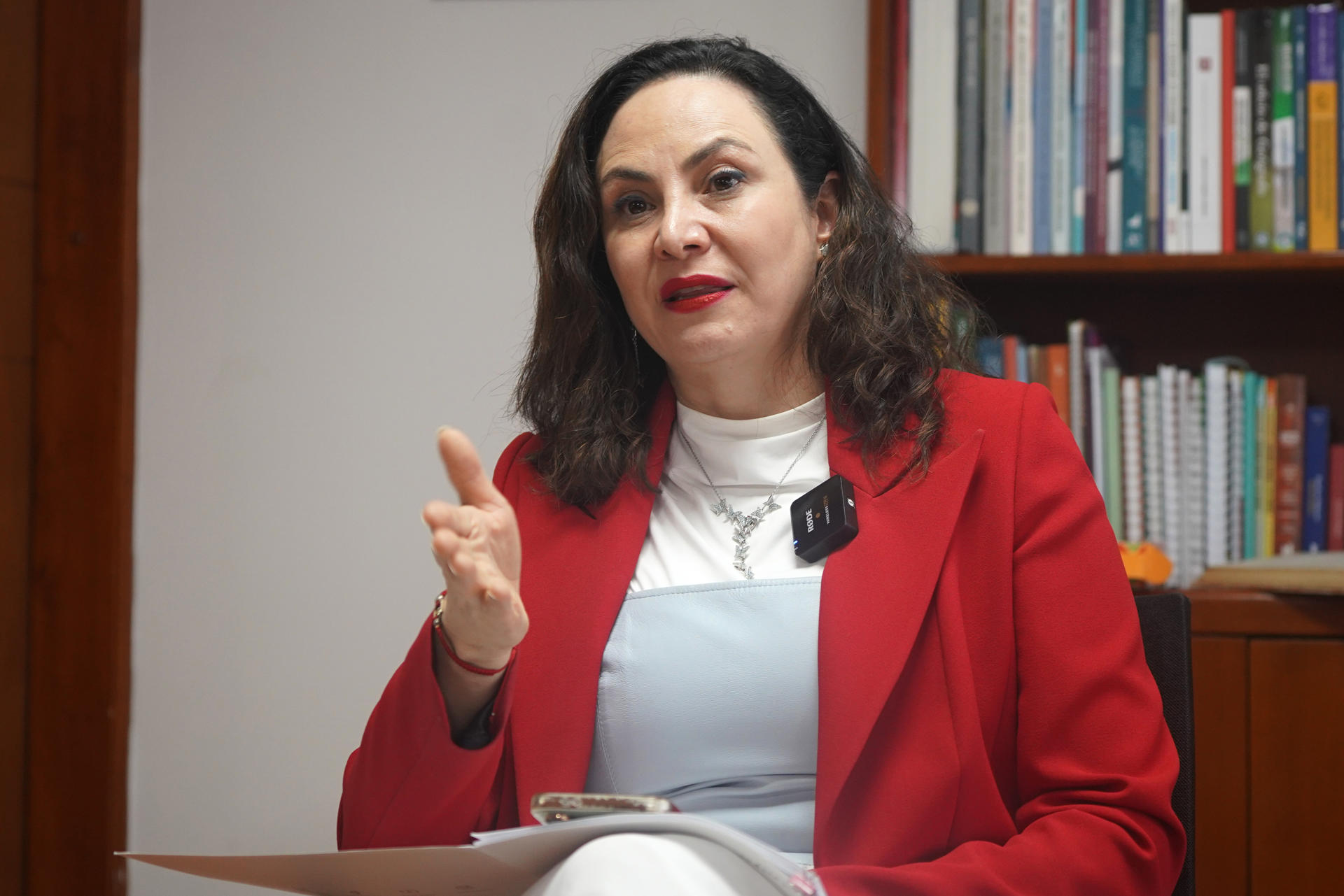 La directora del Departamento Administrativo Nacional de Estadística (DANE), Piedad Urdinola, habla durante una entrevista con EFE este miércoles, en Bogotá (Colombia). EFE/ Pablo R. Seco