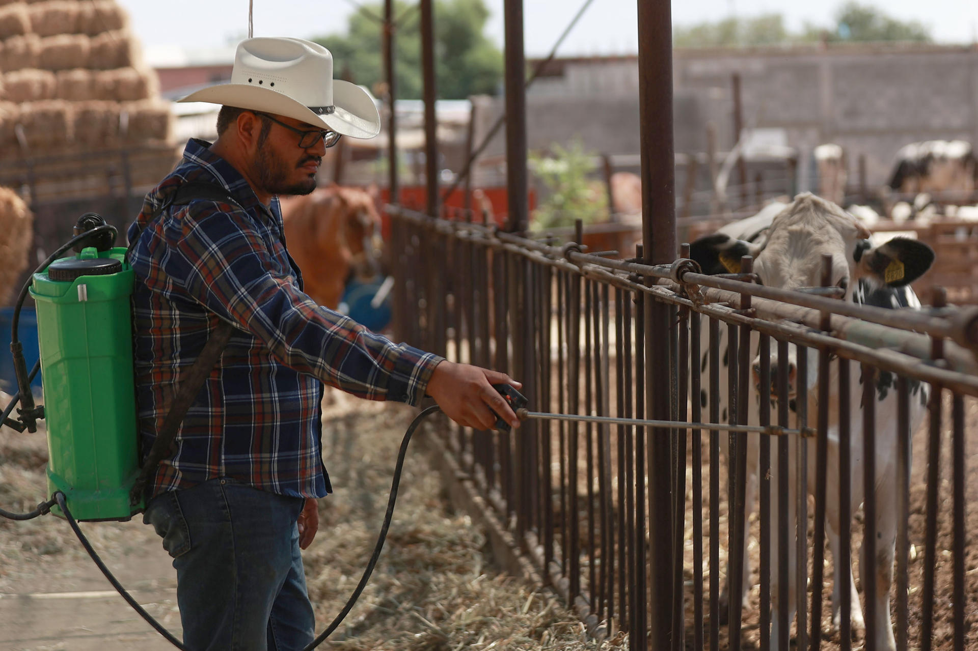 El ganadero José Alfonso Prieto Rodríguez, fumiga en una finca este viernes en Ciudad Juárez, Chihuahua (México). EFE/ Luis Torres