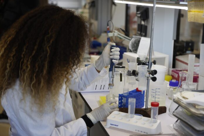 Con el objetivo de generar pigmentos para las industrias farmacéutica, alimenticia o textil, por ejemplo, y que sean amigables con el medioambiente, investigadores del Instituto de Biotecnología (IBt) de la Universidad Nacional Autónoma de México (UNAM) estudian microalgas con las cuales se pueden elaborar esos colorantes. Fotografía de archivo. EFE/ Luis Tejido
