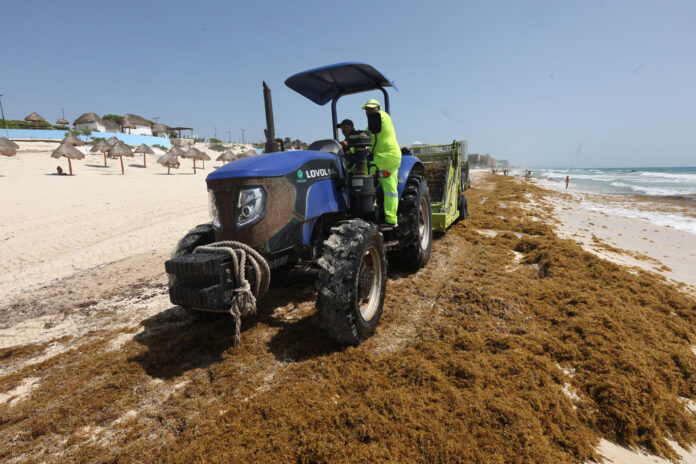 Un trabajador retira sargazo de una playa con maquinaria pesada en Cancún, Quintana Roo (México). Imagen de archivo. EFE/Alonso Cupul
