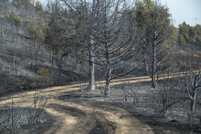 Imagen de este martes del incendio forestal declarado en Selas (Guadalajara), centro de España. EFE/ Nacho Izquierdo

