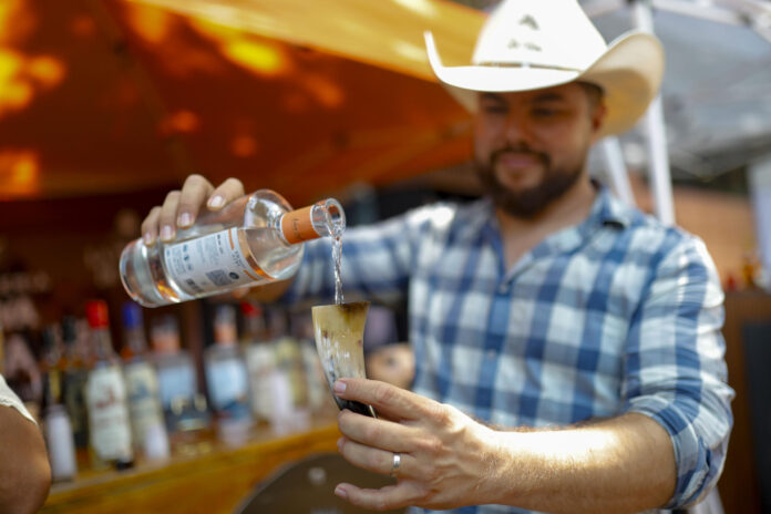 Una persona participa en el Día Nacional del Tequila en Guadalajara, Jalisco (México). EFE/ Francisco Guasco
