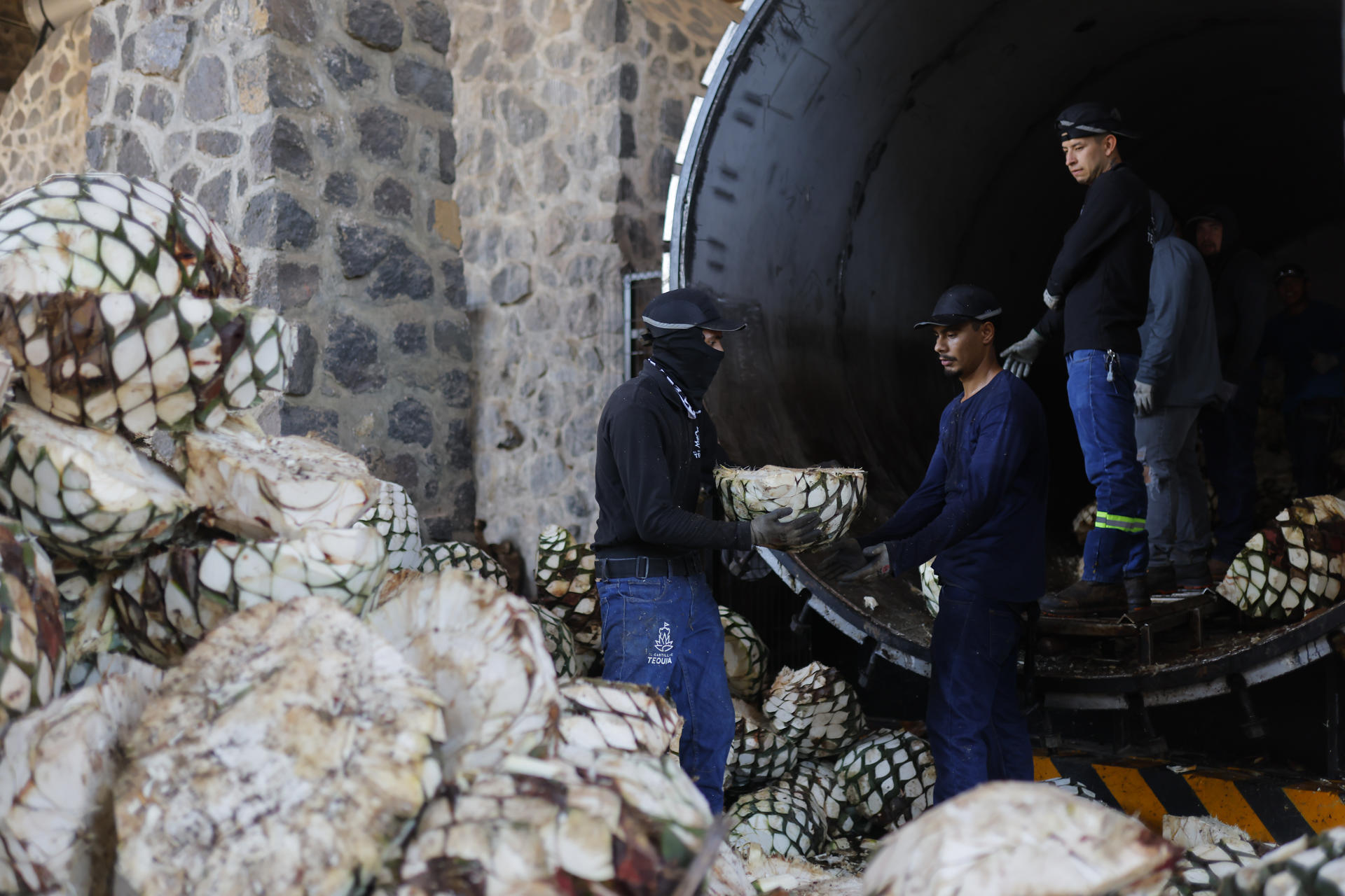 Personas trabajan en una destilería de tequila en Guadalajara, Jalisco (México). EFE/ Francisco Guasco