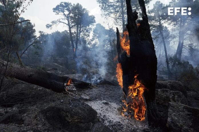 Zonas quemadas en los alrededores de el embalse de El Burguillo por el incendio que se originó en Burgohondo, en la provincia española de Ávila. EFE/Raúl Sanchidrián
