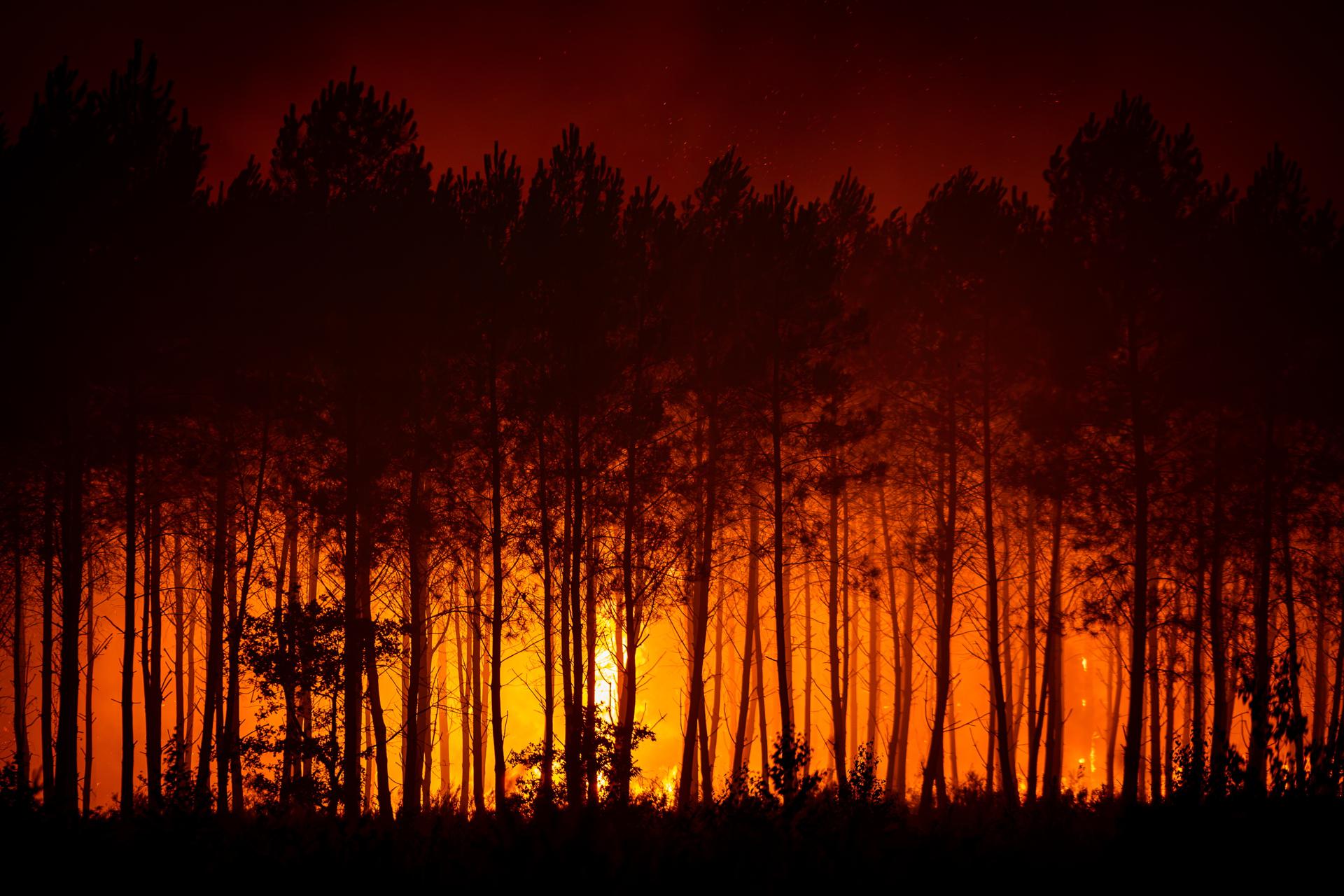 Fotografía facilitada por el SDIS 33 —el servicio oficial de bomberos y rescate de la zona de Gironda— que muestra el incendio que sigue activo en el bosque situado entre Cestas y Marcheprime, en el suroeste de Francia. EFE/EPA/Julien Soulard /HANDOUT HANDOUT EDITORIAL USE ONLY/NO SALES
