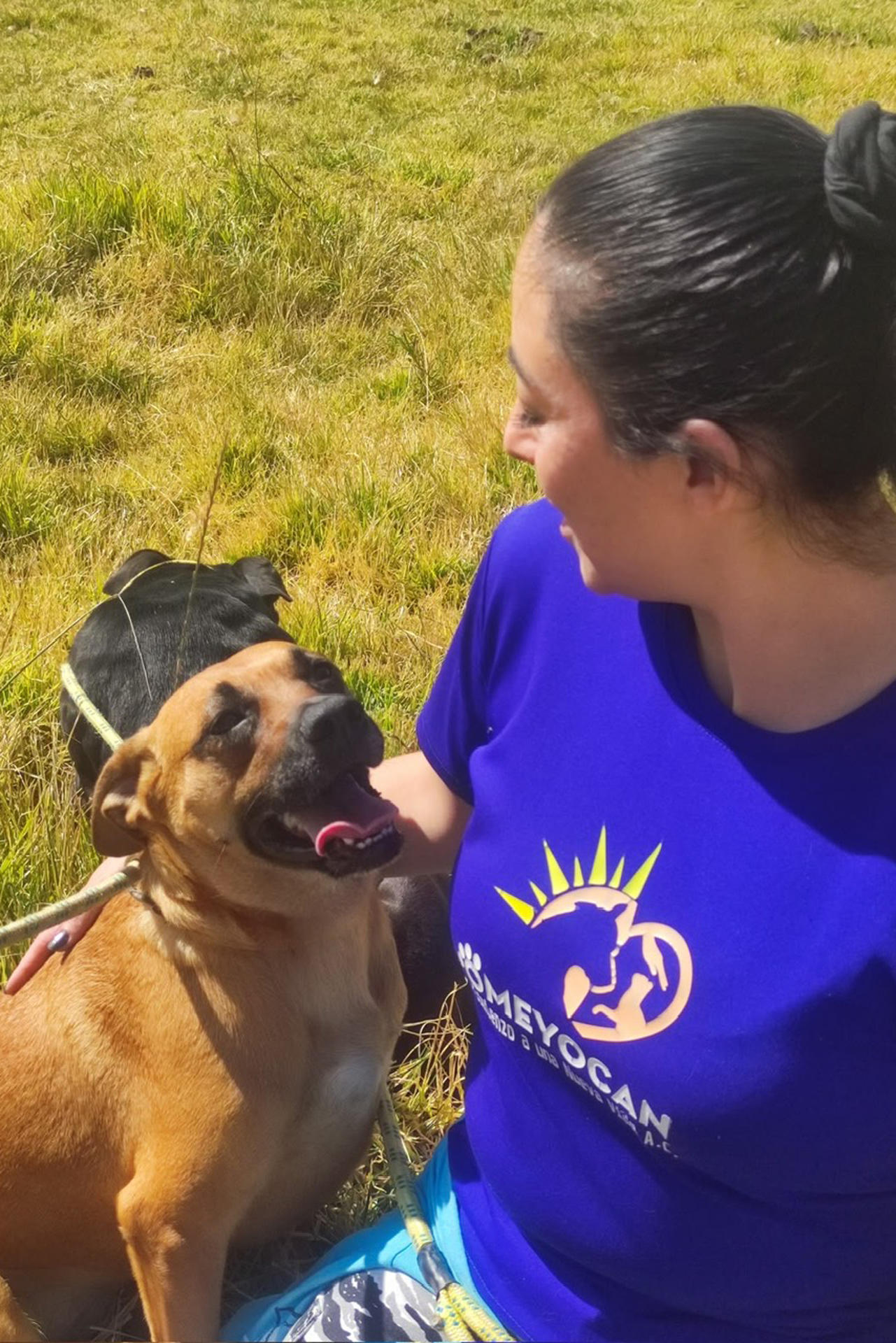 Fotografía del 25 de junio de 2026 cedida por el Refugio Omeyocan de su administradora, Diana Vanegas, junto a un perro en Ciudad de México (México). EFE/ Refugio Omeyocan /SOLO USO EDITORIAL/NO VENTAS/ SOLO DISPONIBLE PARA ILUSTRAR LA NOTICIA QUE ACOMPAÑA (CRÉDITO OBLIGATORIO)
