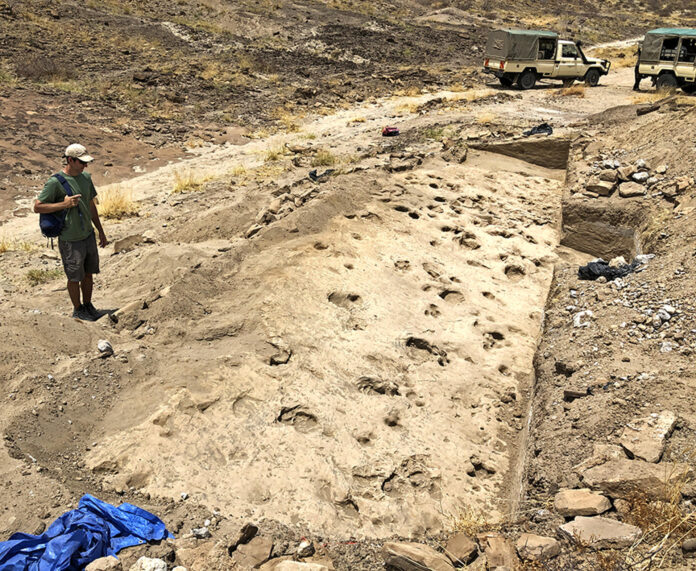 Imagen del yacimiento GaJi10, a orillas del lago Turkana, en el norte de Kenia. Crédito: Kay Behrensmeyer, paleobióloga del Museo de Historia Natural Smithsonian de Estados Unidos
